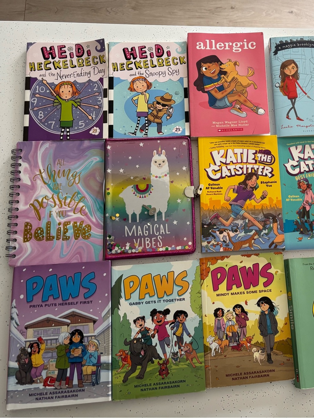 Lot of Girls/Preteen chapter books, notebook & Diary.
